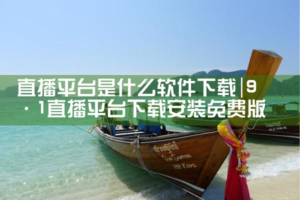 跨平台下载视频软件|P站专业版
