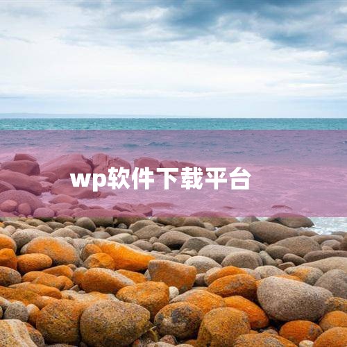 在WP平台上寻找优质的视频下载器，尤其是那些支持后台下载的工具，对于很多用户来说是十分重要的。首先，让我们探讨一种相对简单的网址修改方法。以优酷为例，你可以直接在IE地址栏后添加“xia”，即访问yo|小蓝视频