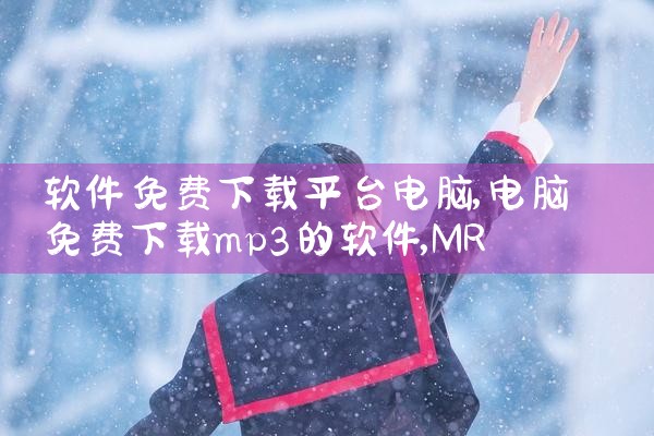 软件免费下载平台电脑|MR好色