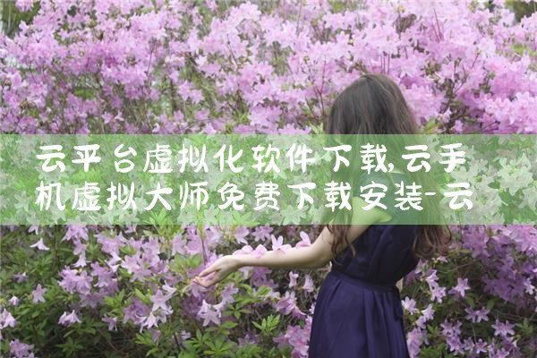 云平台虚拟化软件下载|P站专业版