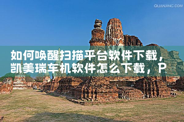 如何唤醒扫描平台软件下载|P站专业版