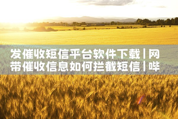 发催收短信平台软件下载|哔咔漫画