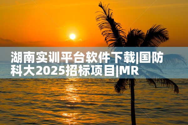 湖南实训平台软件下载|MR好色