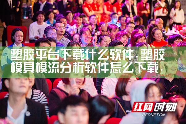 塑胶平台下载什么软件|MR好色