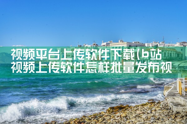 视频平台上传软件下载|MR好色
