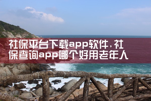 社保平台下载app软件|P站专业版