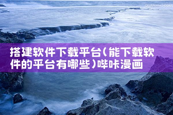 搭建软件下载平台|哔咔漫画