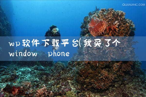wp软件下载平台|小蓝视频